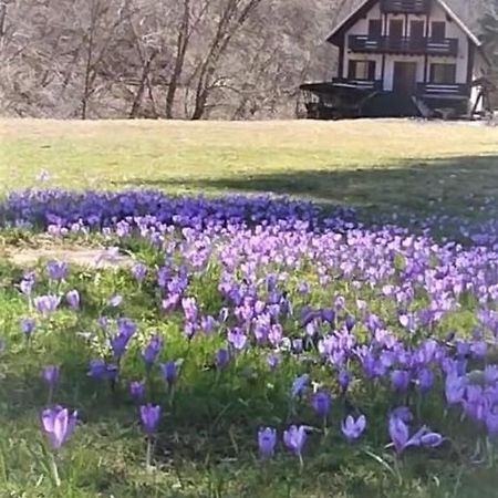 Cabana Satic Piatra Craiului La Doi viermi Exterior foto