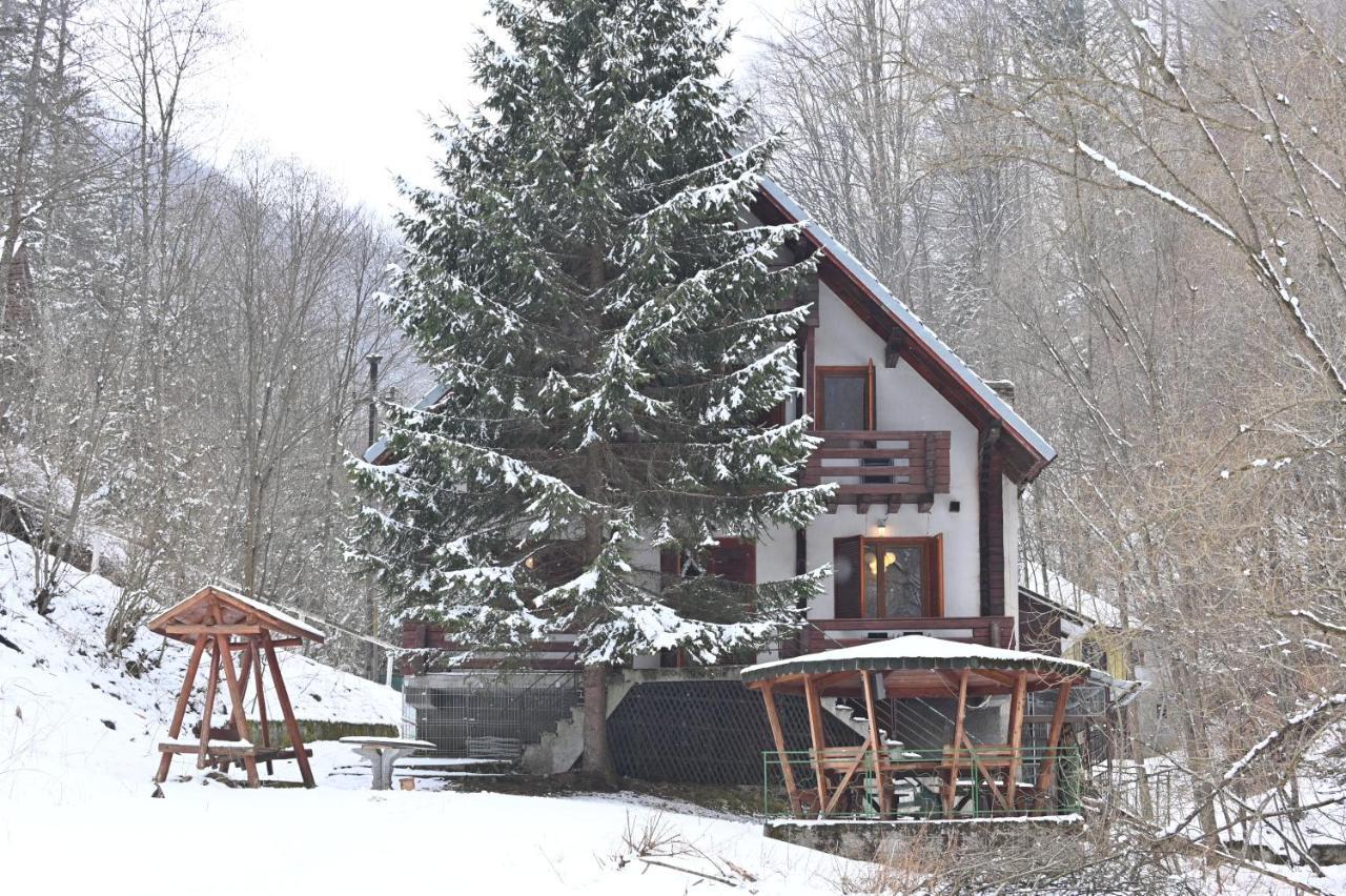 Cabana Satic Piatra Craiului La Doi viermi Exterior foto
