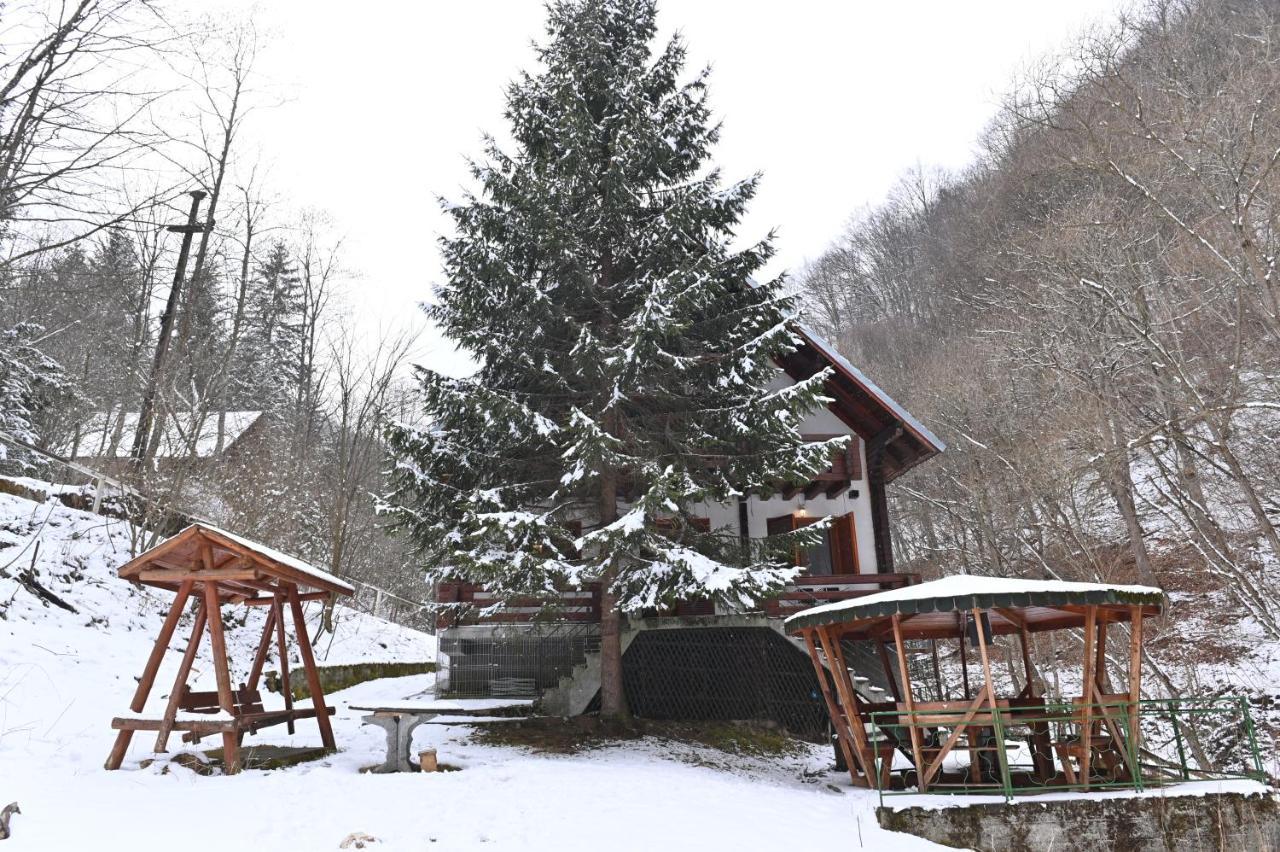 Cabana Satic Piatra Craiului La Doi viermi Exterior foto