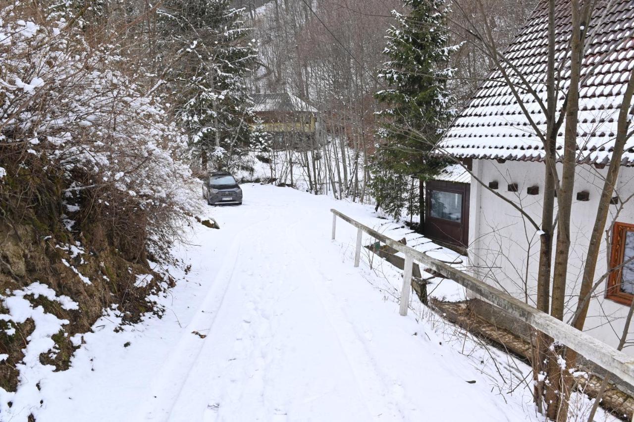 Cabana Satic Piatra Craiului La Doi viermi Exterior foto