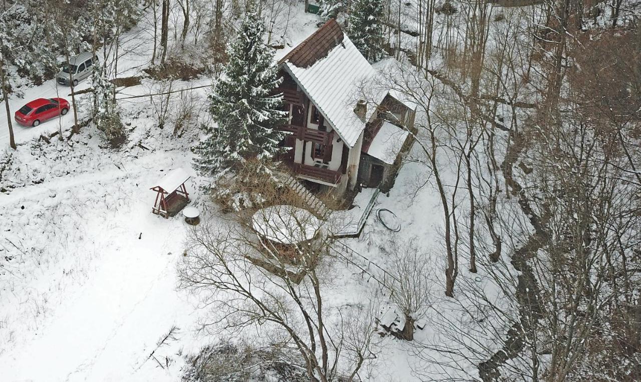 Cabana Satic Piatra Craiului La Doi viermi Exterior foto