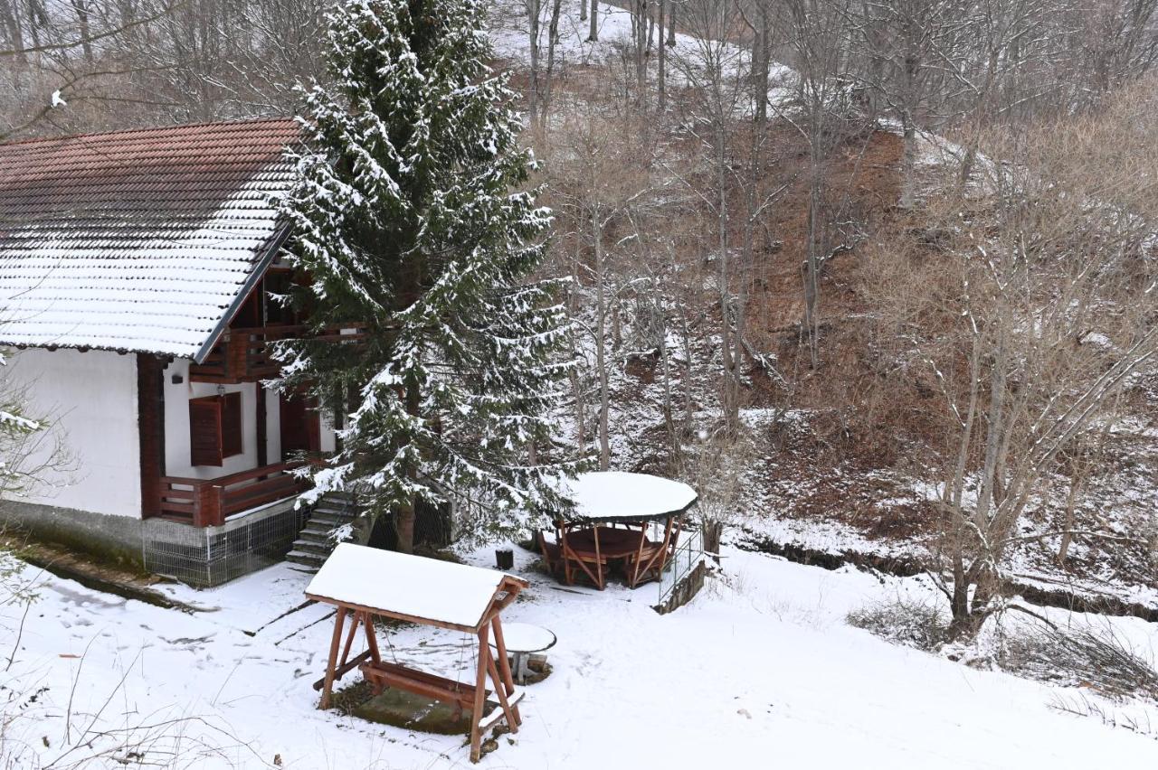 Cabana Satic Piatra Craiului La Doi viermi Exterior foto