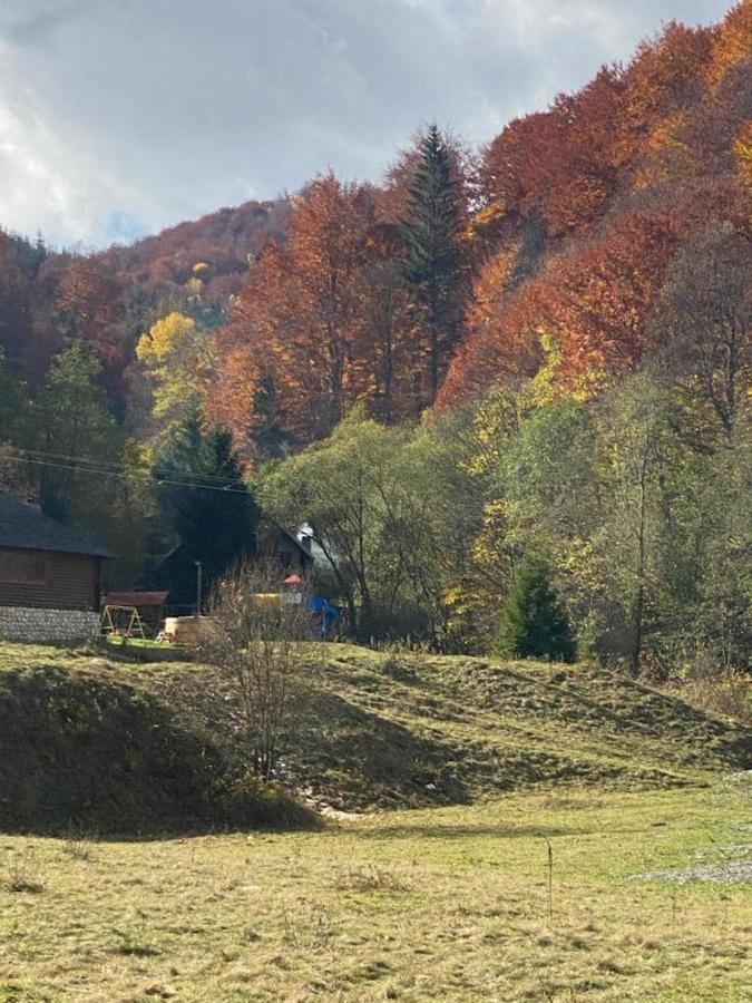 Cabana Satic Piatra Craiului La Doi viermi Exterior foto
