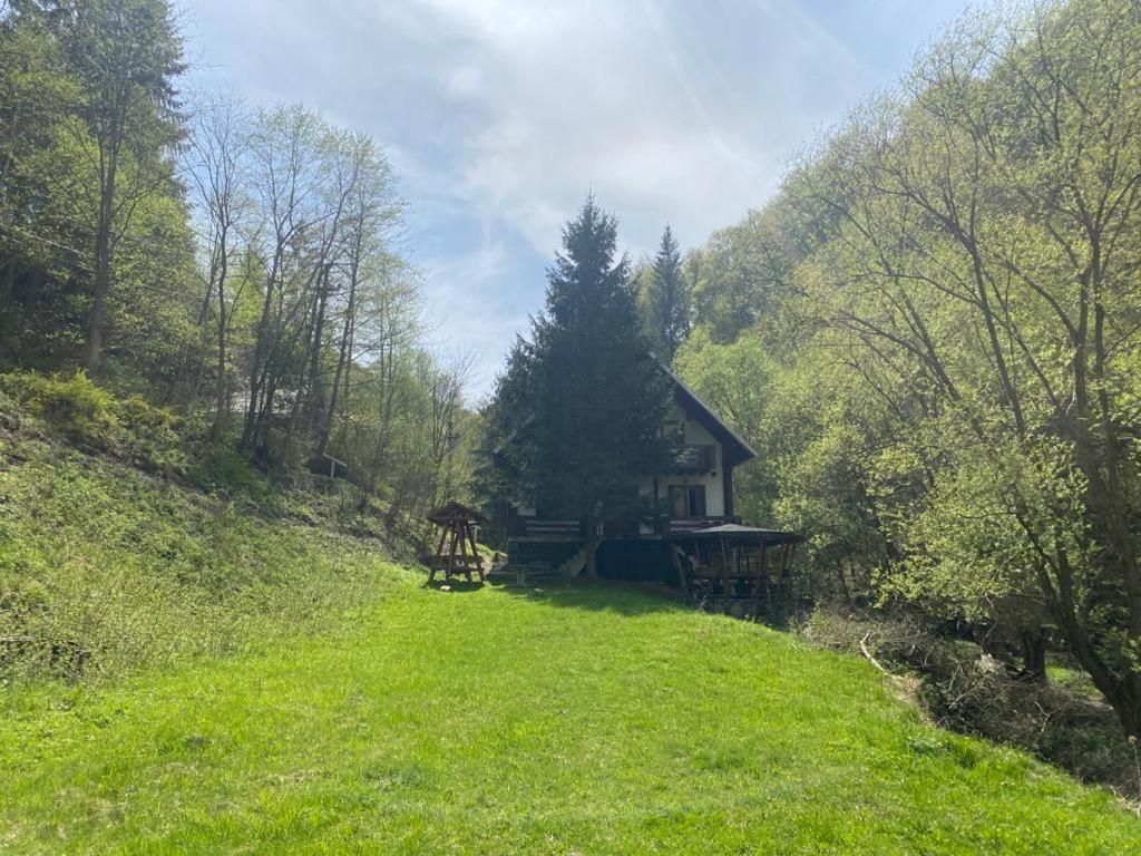 Cabana Satic Piatra Craiului La Doi viermi Exterior foto