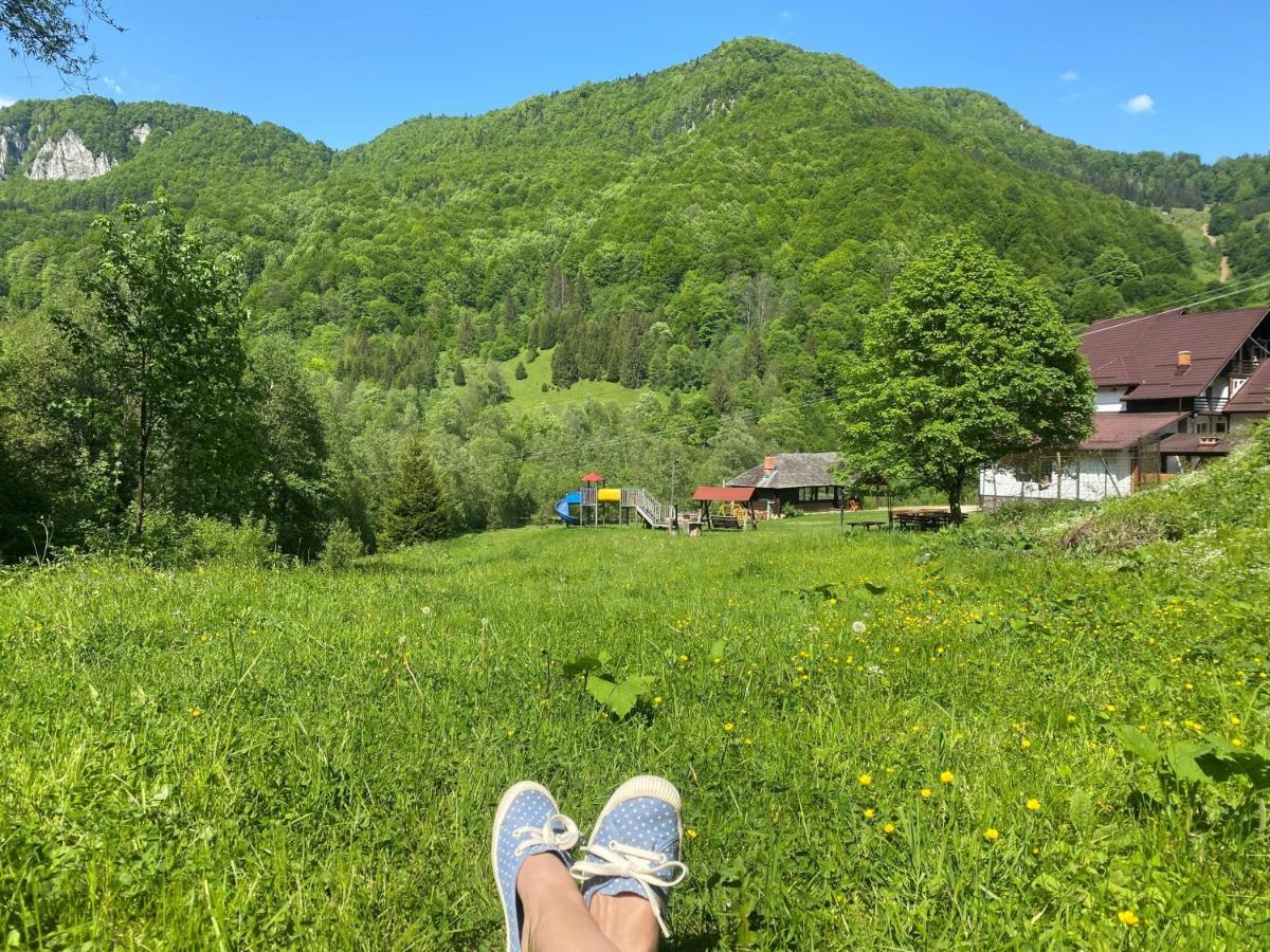 Cabana Satic Piatra Craiului La Doi viermi Exterior foto