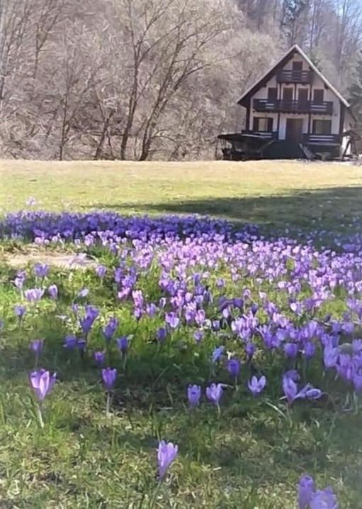 Cabana Satic Piatra Craiului La Doi viermi Exterior foto
